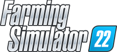 Custom Name